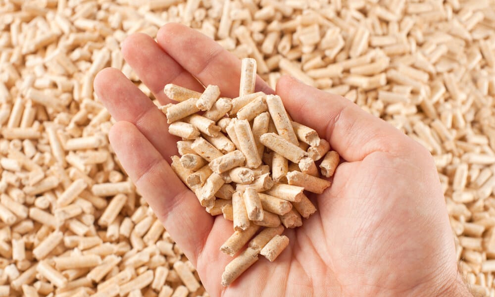 Fish Pellet Fish Pellet